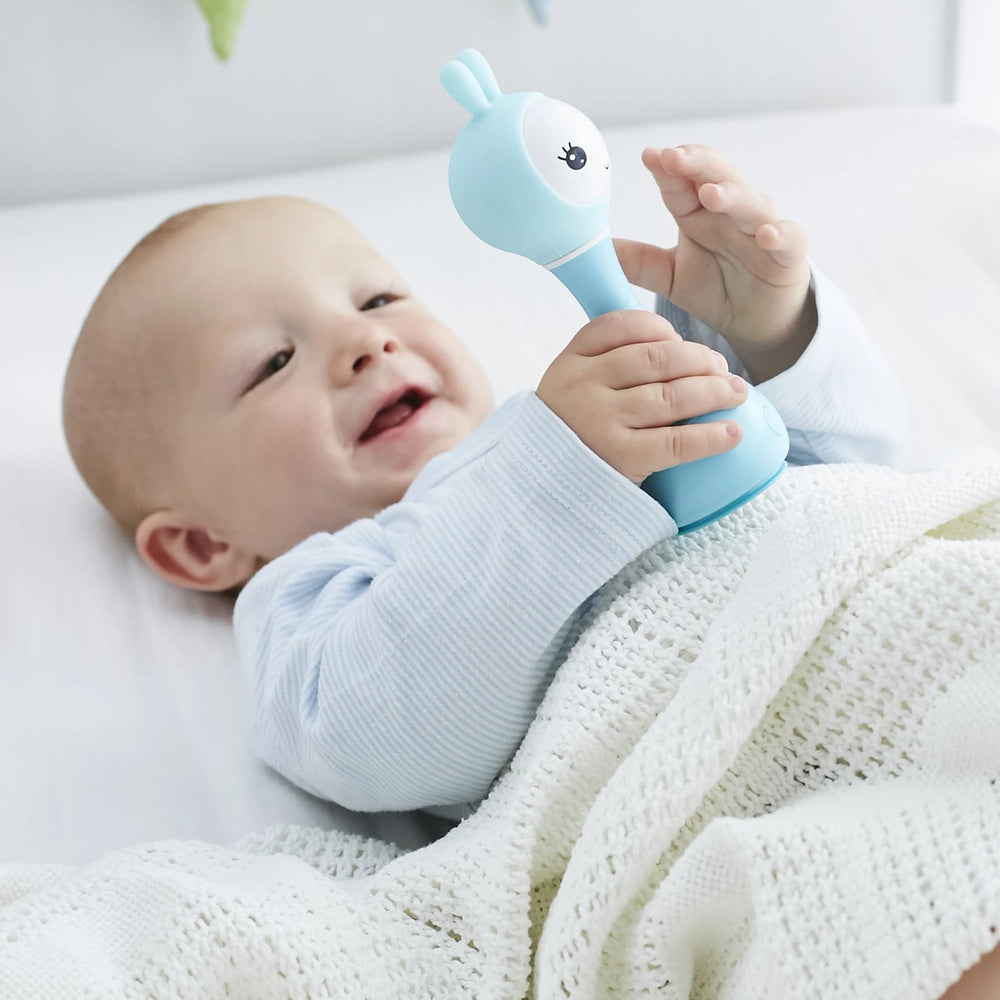 Alilo Smarty Shake and Tell Rattle R1