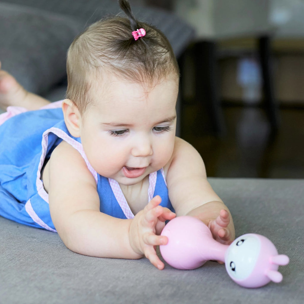 Alilo Smarty Shake and Tell Rattle R1