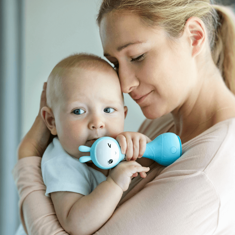 Alilo Smarty Shake and Tell Rattle R1