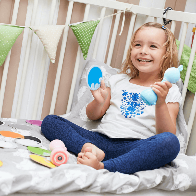 Alilo Smarty Shake and Tell Rattle R1